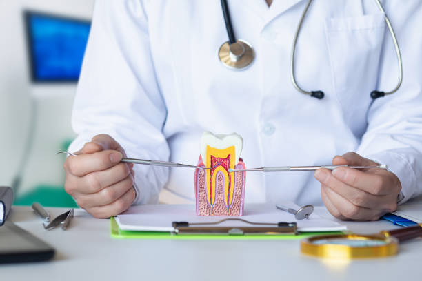 Best Dentist for Tooth Abscess  in South Brooksville, FL
